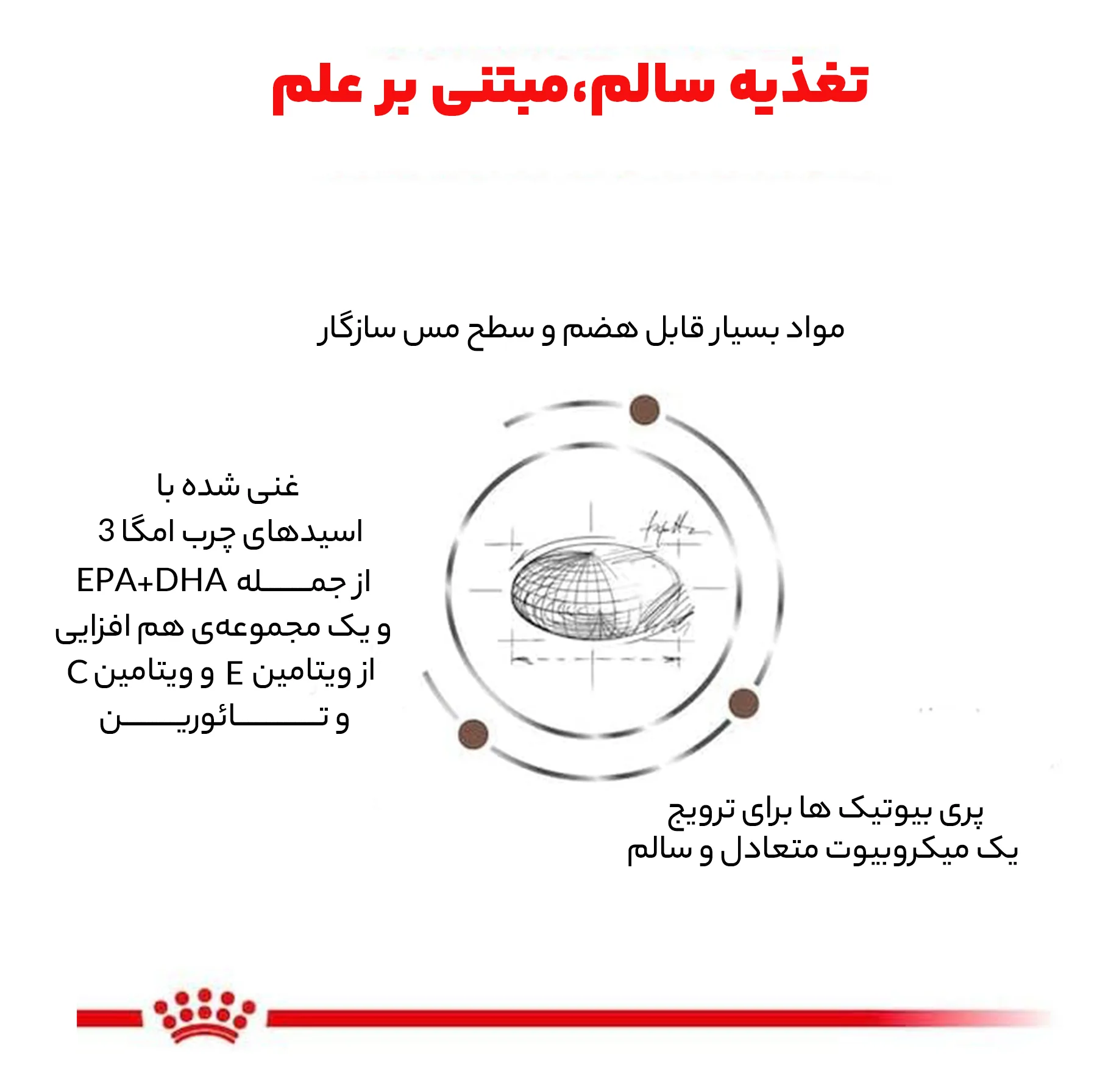 غذای خشک گربه رویال کنین مدل Hepatic S/O Index هپاتیک وزن 2 کیلوگرم