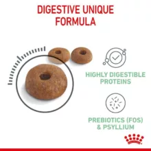 غذای خشک گربه رویال کنین مدل DIGESTIVE CARE وزن 400 گرم