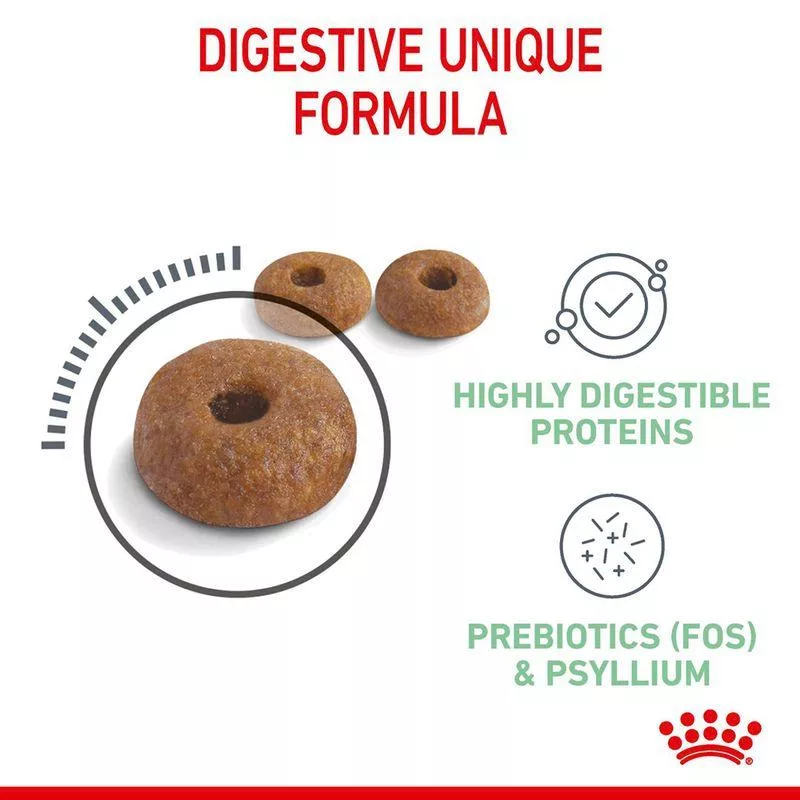 غذای خشک گربه رویال کنین مدل DIGESTIVE CARE وزن 400 گرم