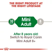 غذای خشک سگ رویال کنین مدل MINI Adult وزن 2 کیلوگرم