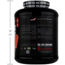 پودر پروتئین وی کلاسیک با طعم کیک توت فرنگی نوترابایو - 2268 گرم