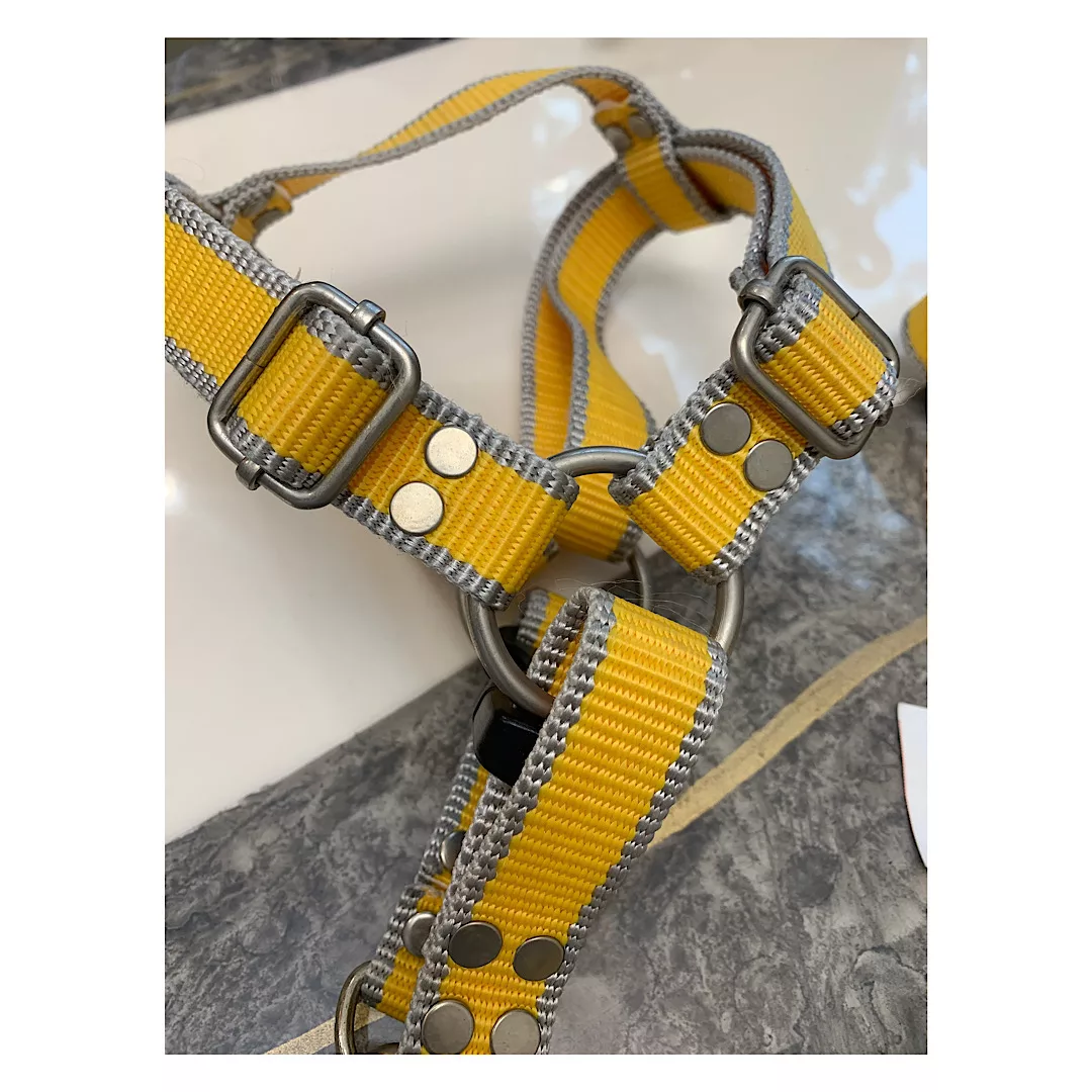 قلاده کتفی تریکسی مدل GH-2025