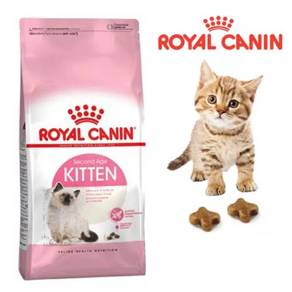 غذا خشک بچه گربه رویال کنین مدل kitten up to 12 months وزن 2 کیلوگرم