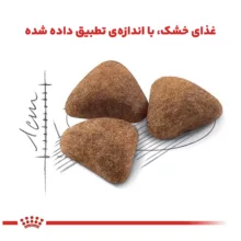 غذای خشک گربه رویال کنین مدل Life Indoor وزن 2 کیلوگرم