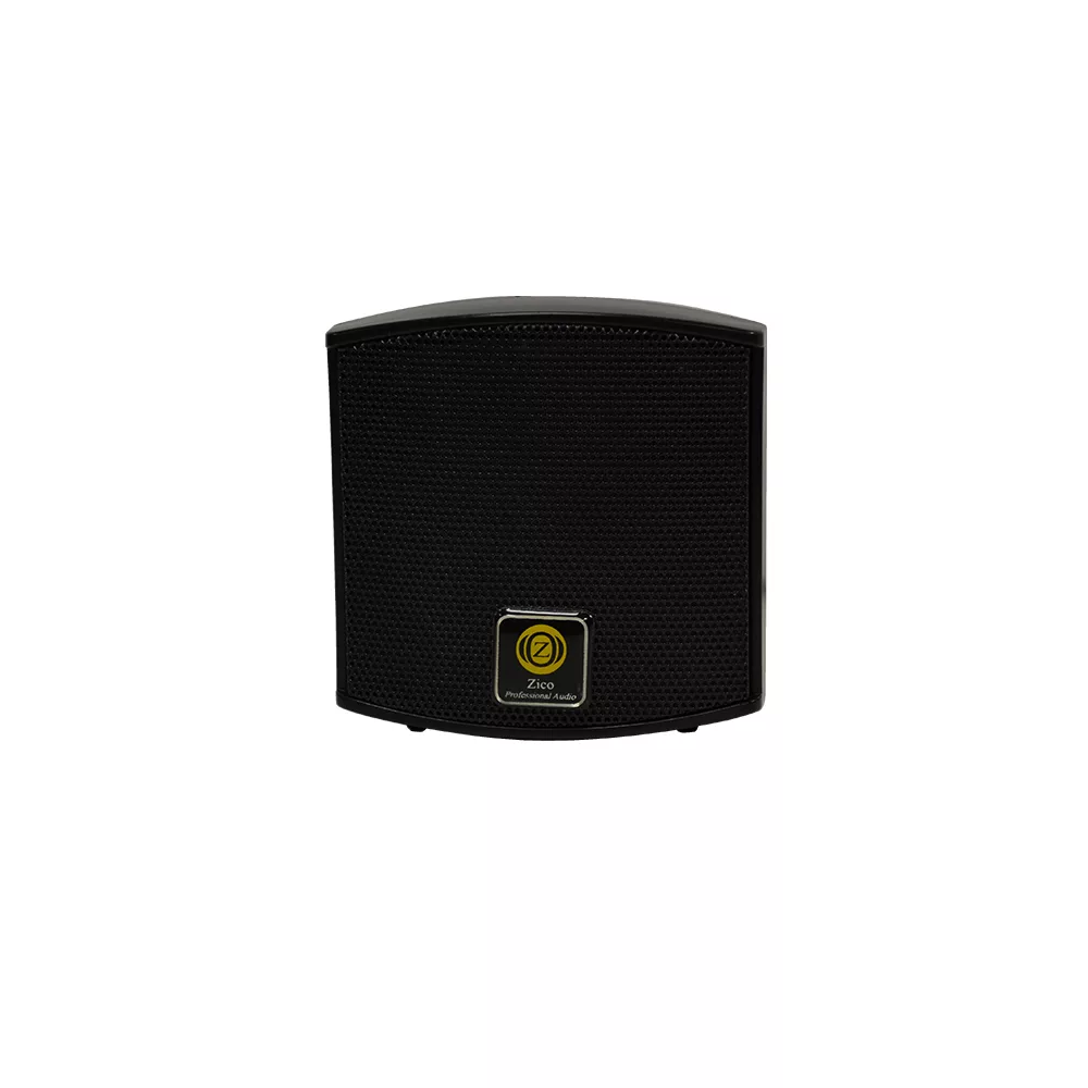 بلندگو دکوراتیو زیکو مدل WS-250