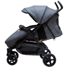 کالسکه دلیجان مدل ریو