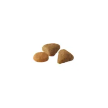 غذای خشک گربه بالغ سویور رویال کنین مدل Savour Exigent مناسب گربه بد غذا وزن 2 کیلوگرم