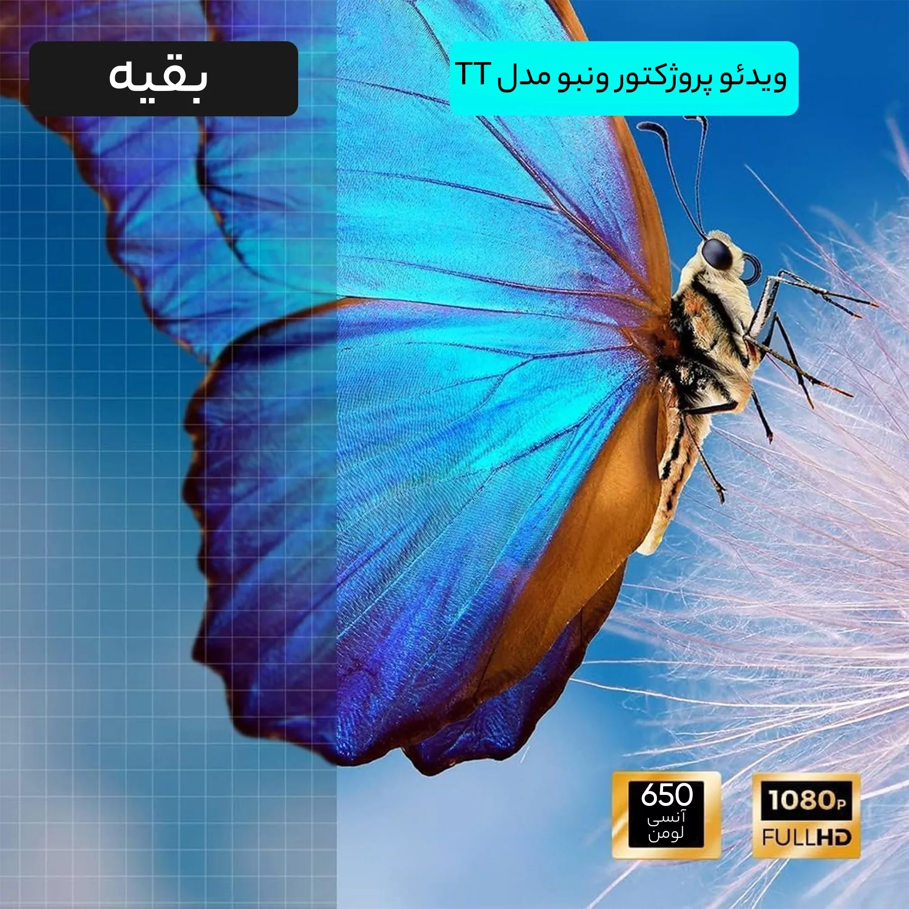 ویدئو پروژکتور ونبو مدل TT