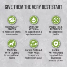 غذای خشک سگ نوترینس مدل Infusion کد D6066 وزن 2.27کیلوگرم