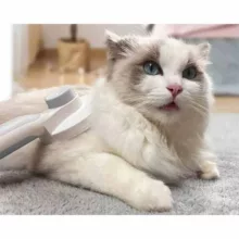 برس حیوانات خانگی مدل 333AWC063016