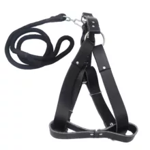 قلاده کمری به همراه لید سامکو مدل YP3-LIDDAR135CM