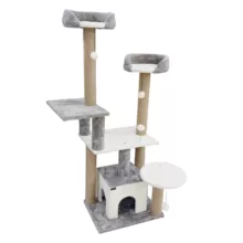 اسکرچر گربه آدریاناپت کو مدل کاملیا