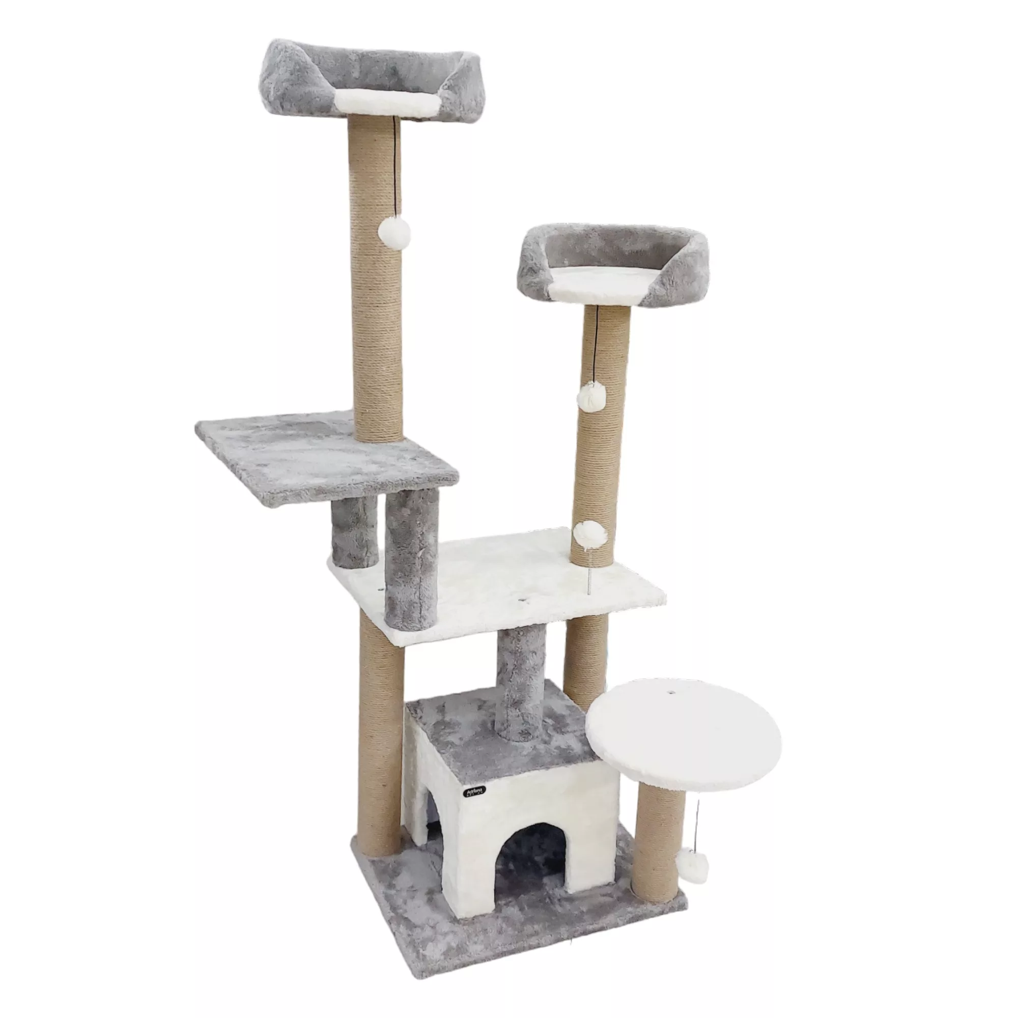 اسکرچر گربه آدریاناپت کو مدل کاملیا