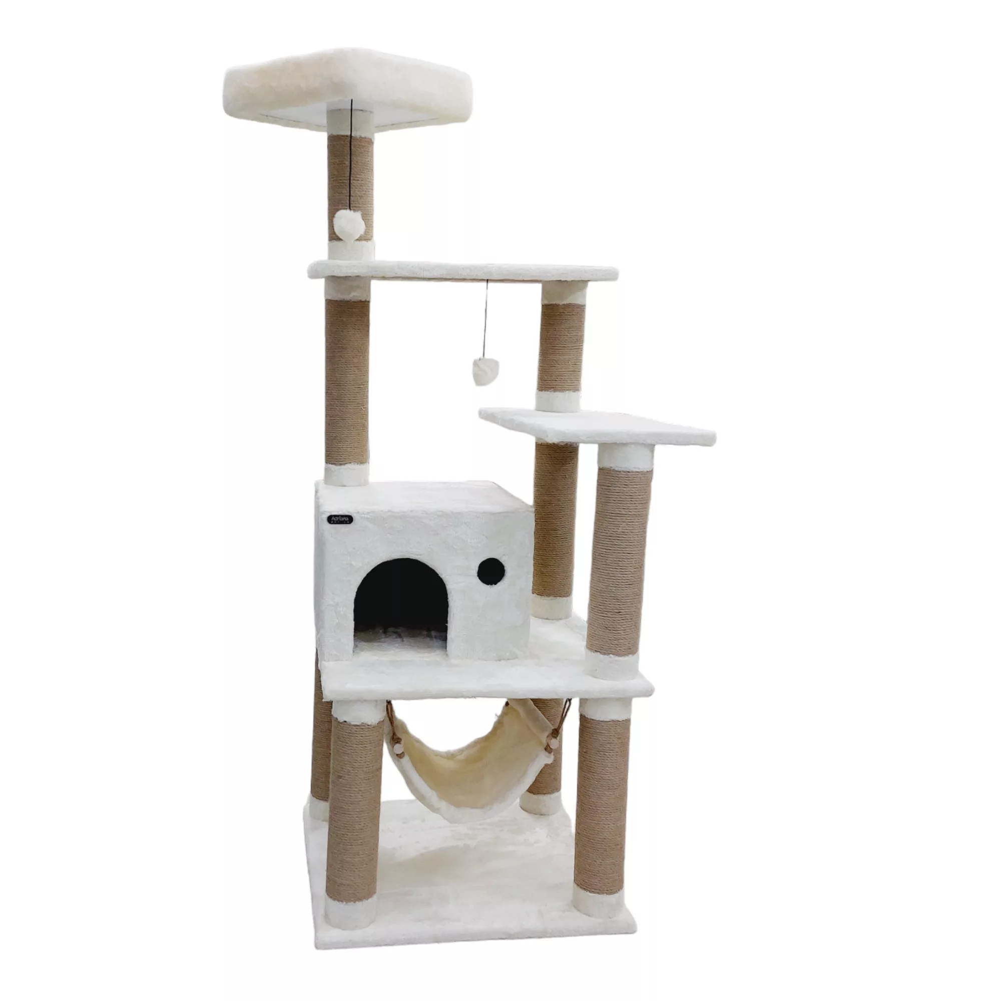 اسکرچر گربه آدریاناپت کو مدل سرو