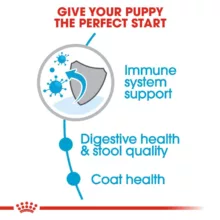 غذای خشک سگ رویال کنین مدل MINI INDOOR PUPPY وزن 1.5 کیلوگرم