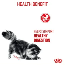 غذای خشک گربه رویال کنین مدل Digestive Care مراقبت از سیستم گوارش وزن 2 کیلوگرم