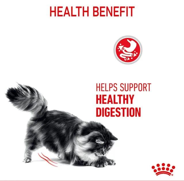 غذای خشک گربه رویال کنین مدل Digestive Care مراقبت از سیستم گوارش وزن 2 کیلوگرم