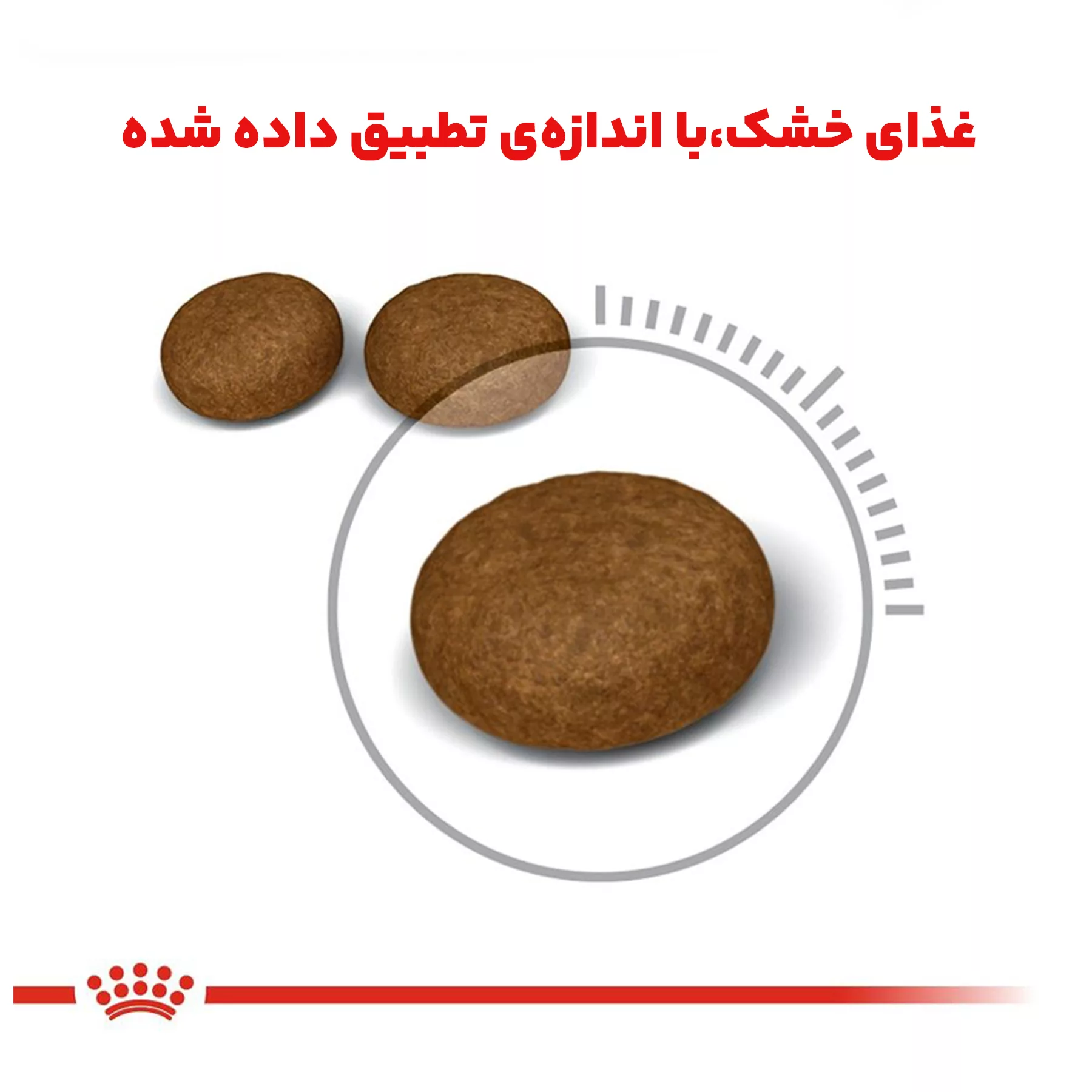 غذای خشک گربه رویال کنین مدل Hair and Skin وزن 2 کیلوگرم