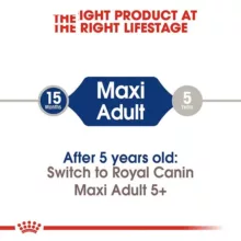 غذای پوچ سگ رویال کنین مدل Maxi adult وزن 140 گرم بسته 10 عددی