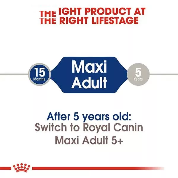 غذای پوچ سگ رویال کنین مدل Maxi adult وزن 140 گرم بسته 10 عددی