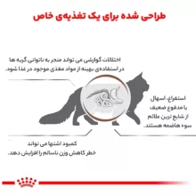 غذای خشک گربه رویال کنین مدل Gastrointestinal وزن 2 کیلوگرم