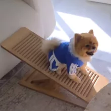 رمپ سگ و گربه طرح چوب مدل ns1020