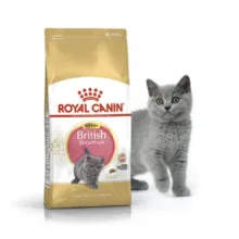 غذای خشک گربه رویال کنین مدل BIRITISH SHORTHAIR KITTEN وزن 2 کیلوگرم