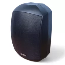 اسپیکر دکوراتیو ام پرو DP-4100
