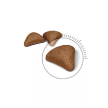 غذای خشک گربه رویال کنین مدل care heirball وزن 2 کیلوگرم