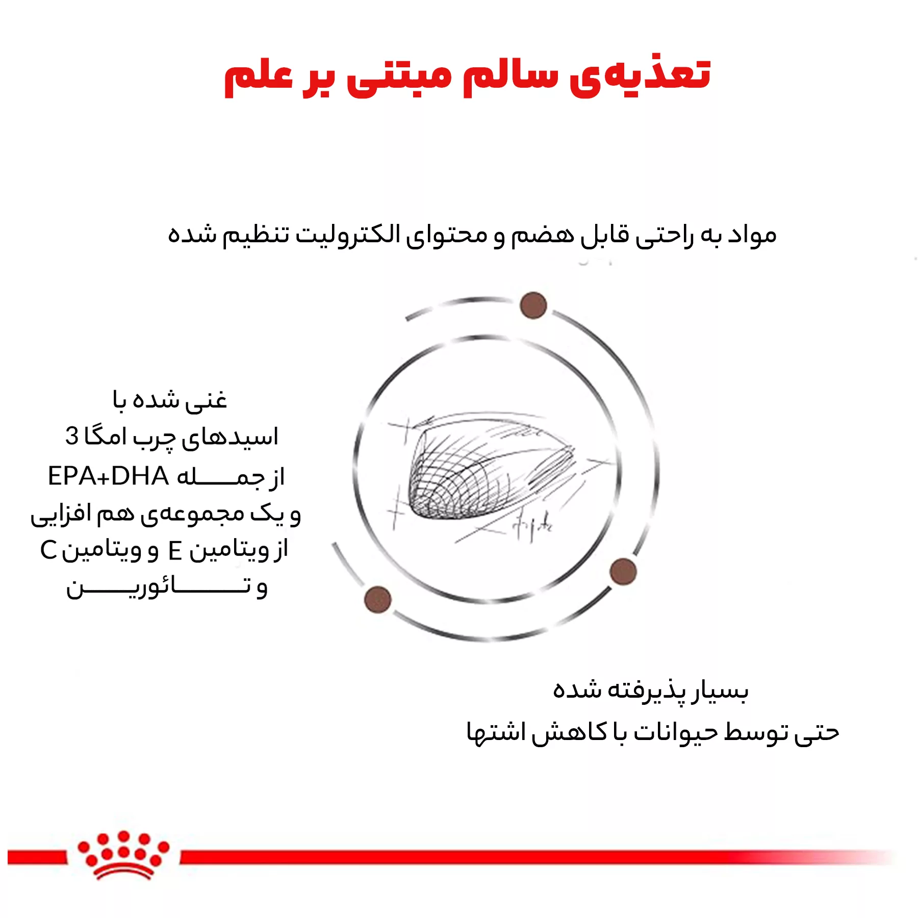 غذای خشک گربه رویال کنین مدل Gastrointestinal وزن 2 کیلوگرم