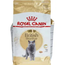 غذای خشک گربه بریتیش رویال کنین مدل British Shorthair وزن 2 کیلوگرم
