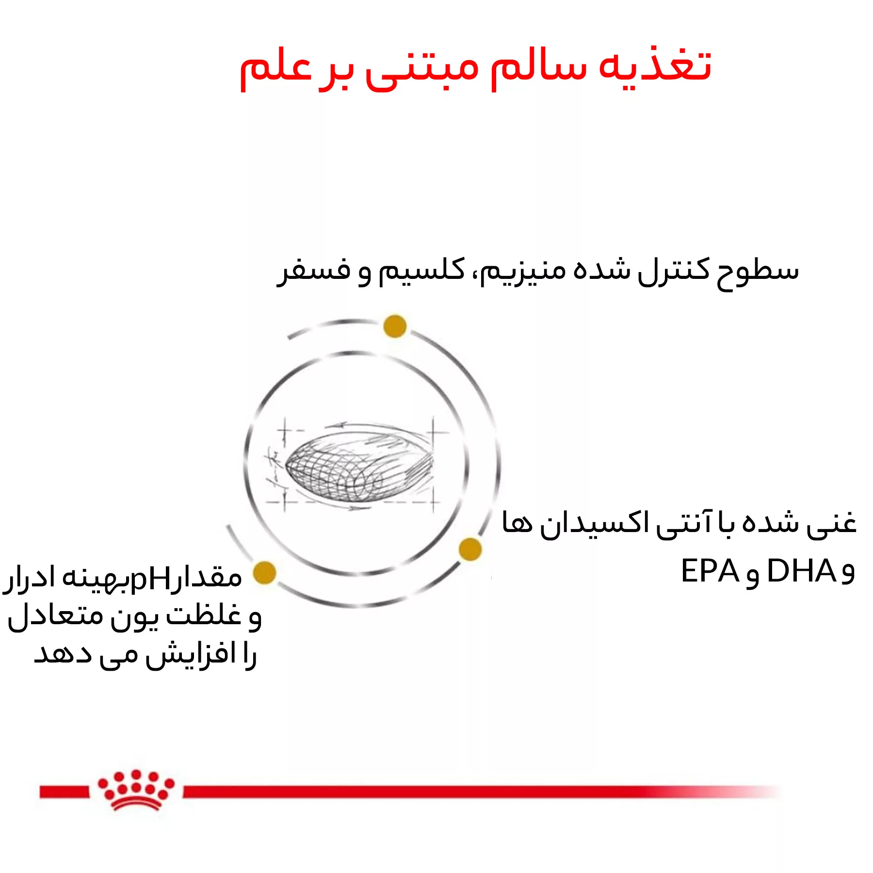 غذای خشک سگ رویال کنین مدل Urinary s/o وزن 2 کیلوگرم