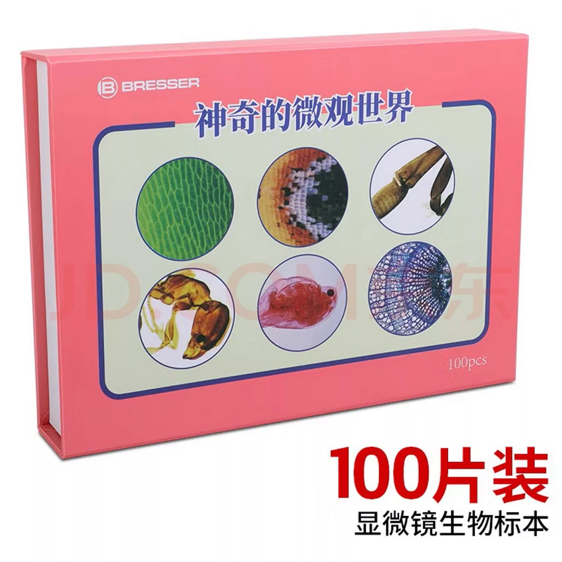 اسلاید میکروسکوپ برسر مدل آماده مجموعه 100 عددی