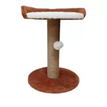 اسکرچر گربه آدریاناپت کو مدل چاتانا