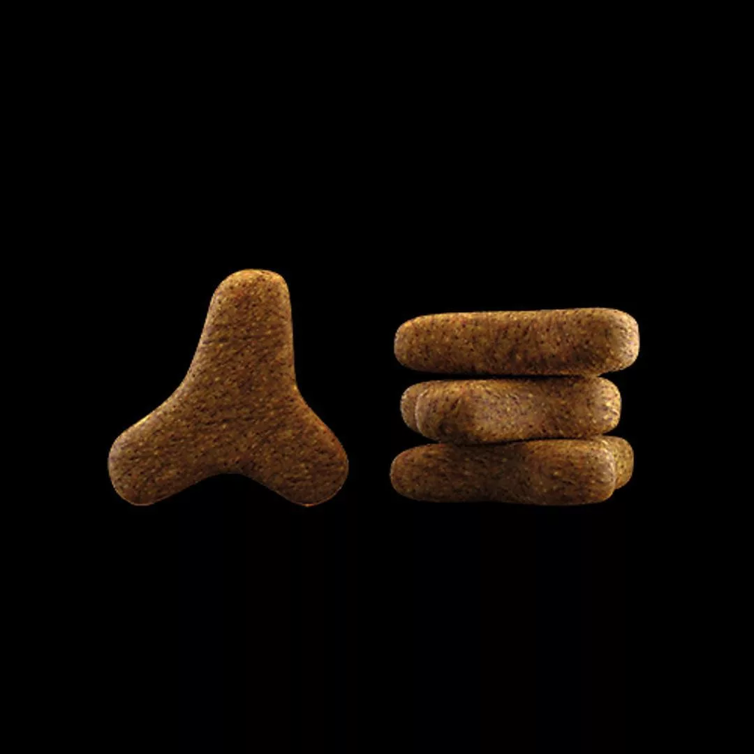 غذای خشک گربه جوسرا مدل URINARY HELP وزن 2 کیلوگرم