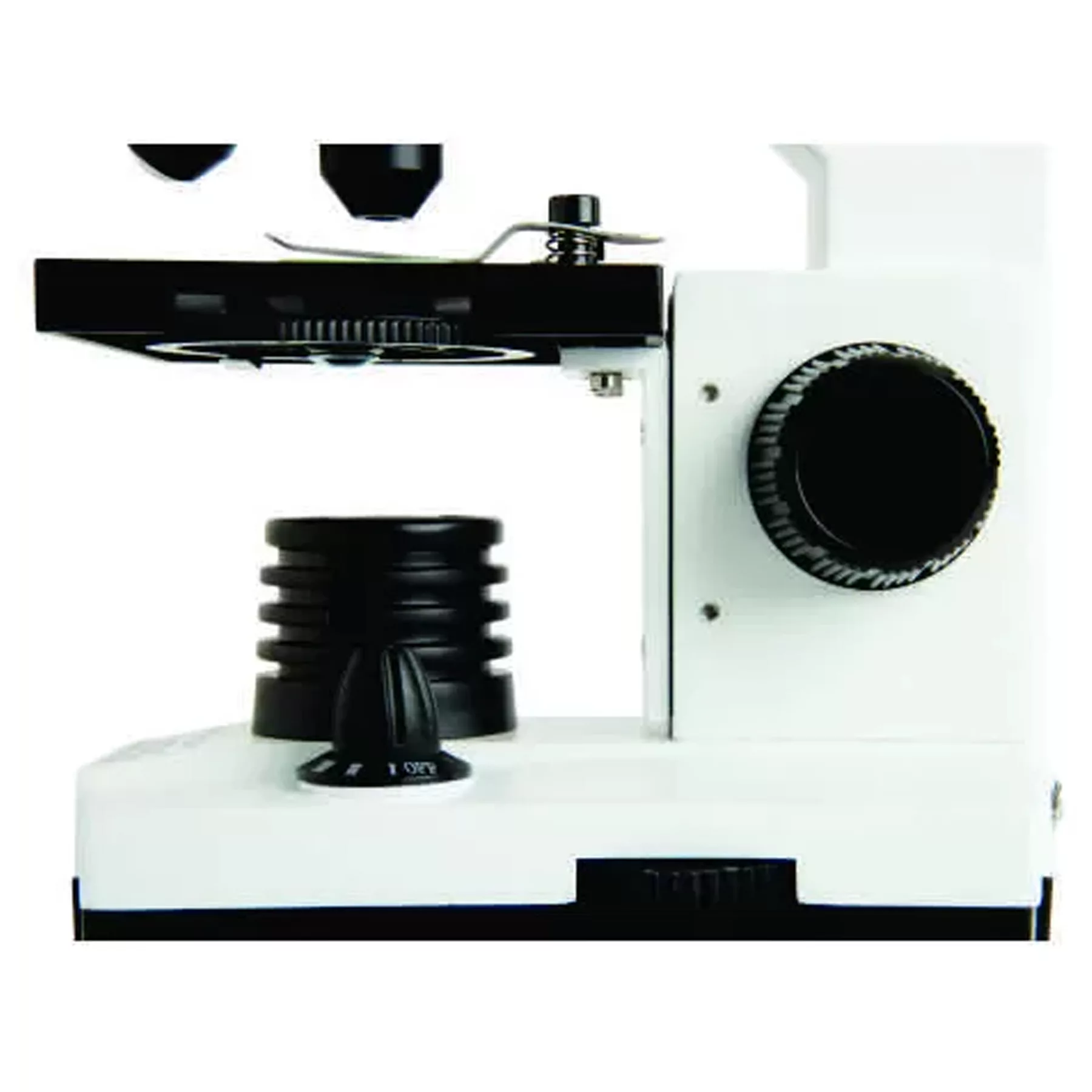 میکروسکوپ سلسترون مدل Labs 800 NEW 2025