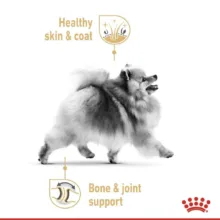 غذای خشک سگ رویال کنین مدل ADULT POMERANIAN وزن 3 کیلوگرم
