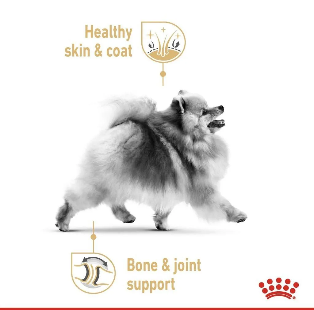 غذای خشک سگ رویال کنین مدل ADULT POMERANIAN وزن 3 کیلوگرم