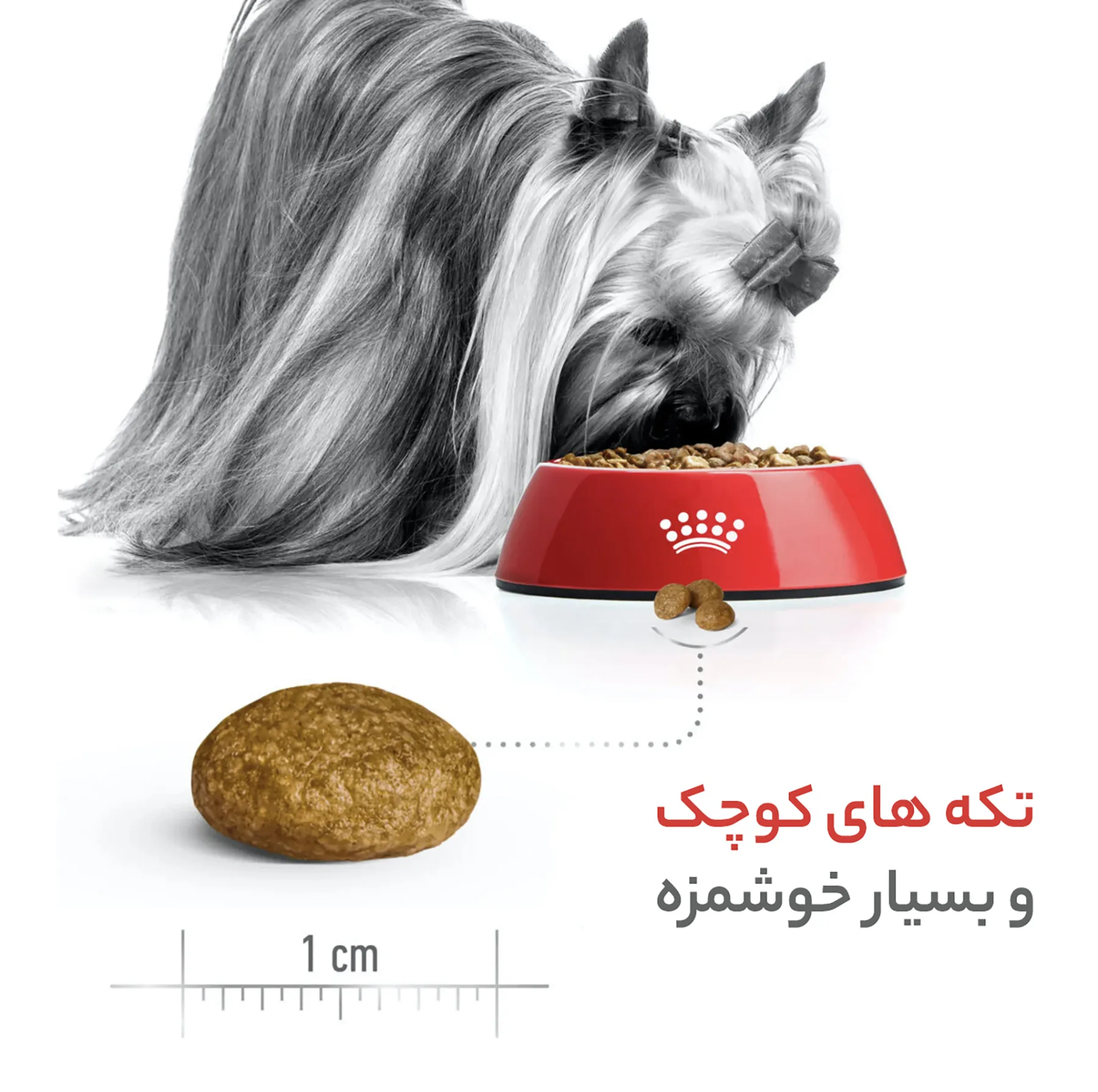 غذای خشک سگ رویال کنین مدل ایکس اسمال بالغ XS-Adult وزن 1/5 کیلوگرم