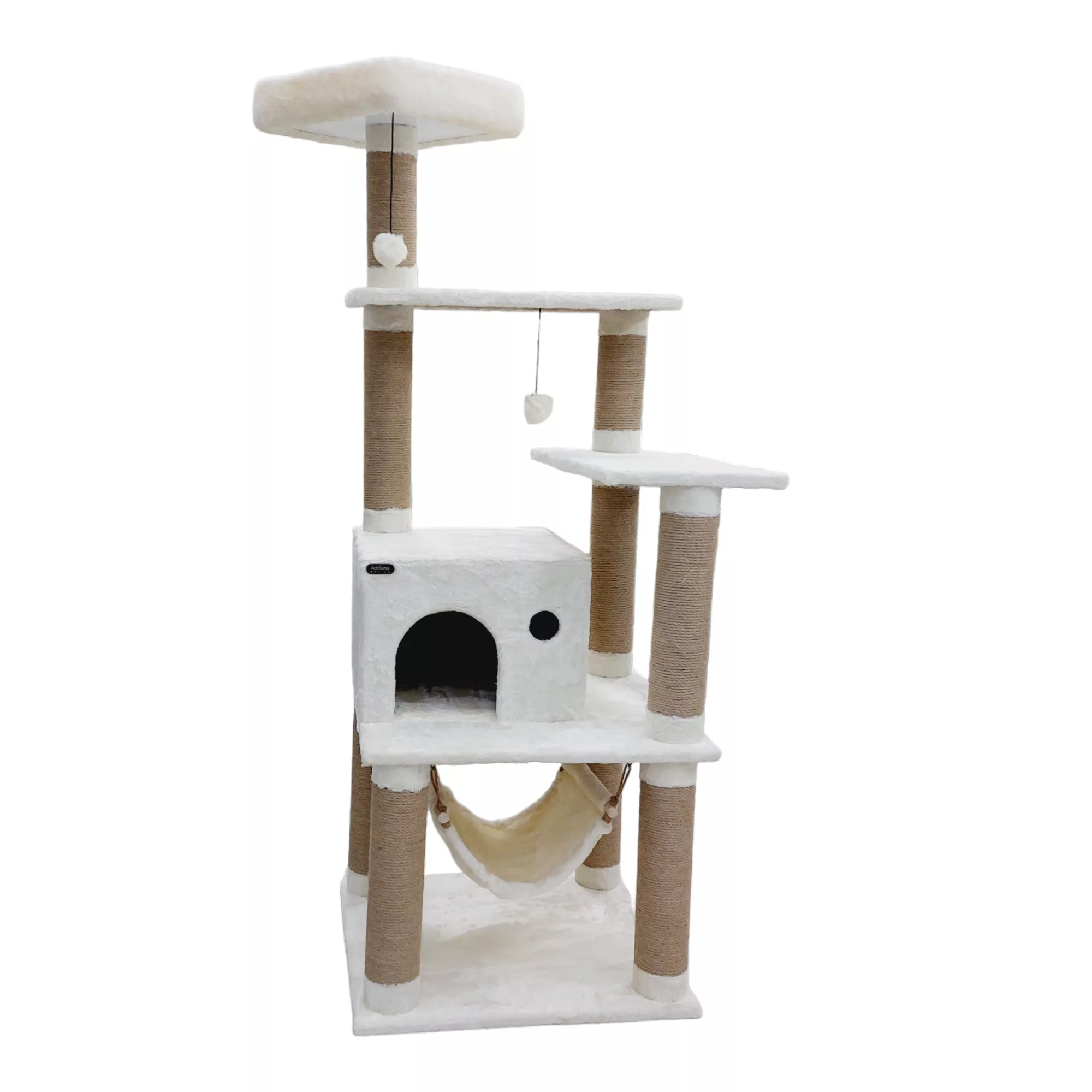 اسکرچر گربه آدریاناپت کو مدل سرو