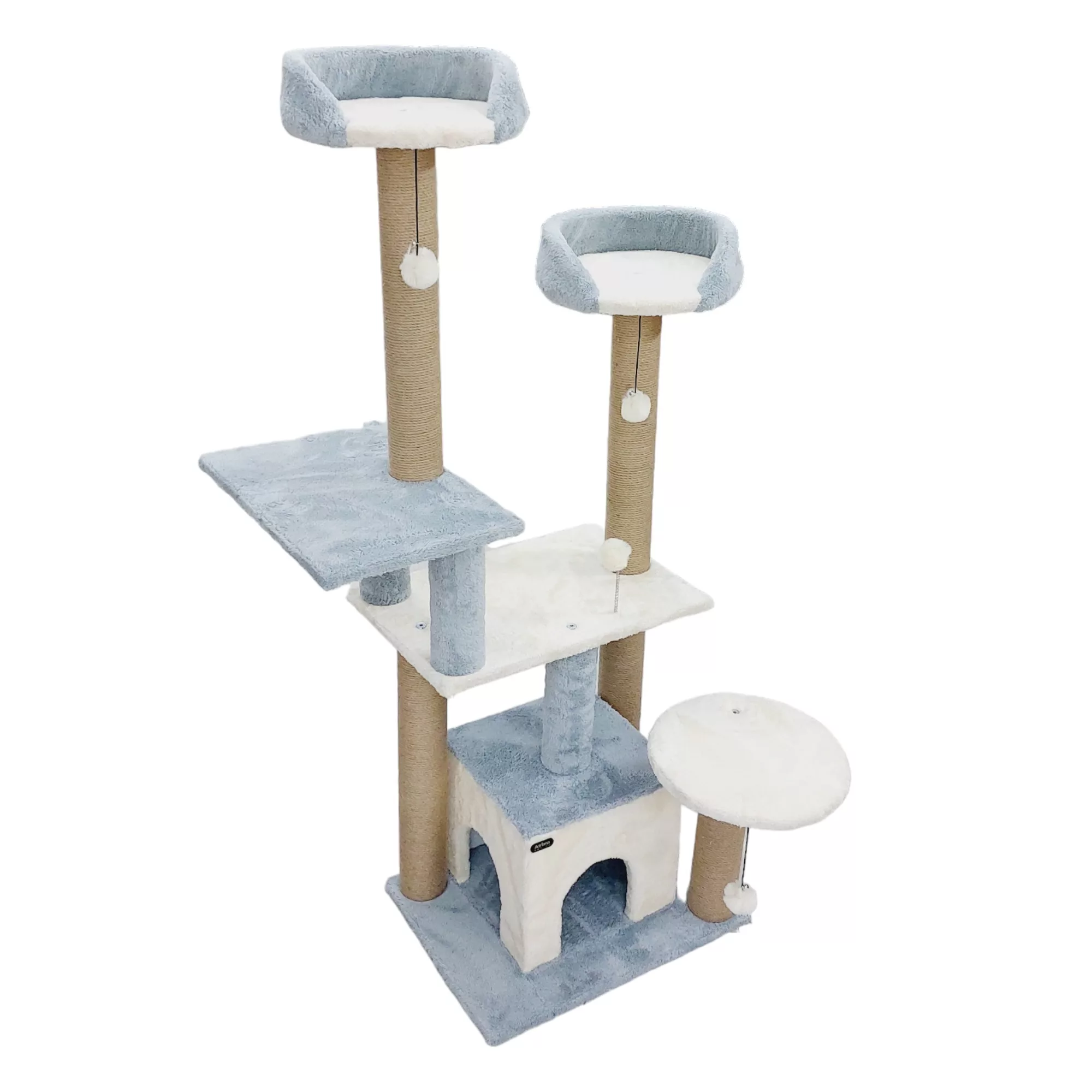 اسکرچر گربه آدریاناپت کو مدل کاملیا