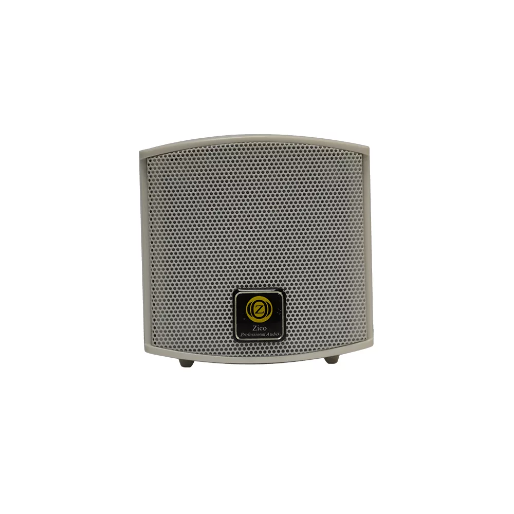 بلندگو دکوراتیو زیکو مدل WS-250
