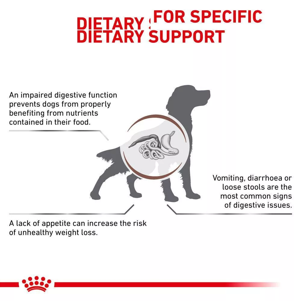 غذای سگ بالغ رویال کنین مدل GASTRO INTESTINAL مقدار 2 کیلوگرم
