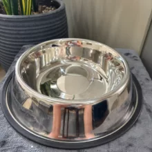 ظرف آب و غذا سگ هوم باکس مدل Canine