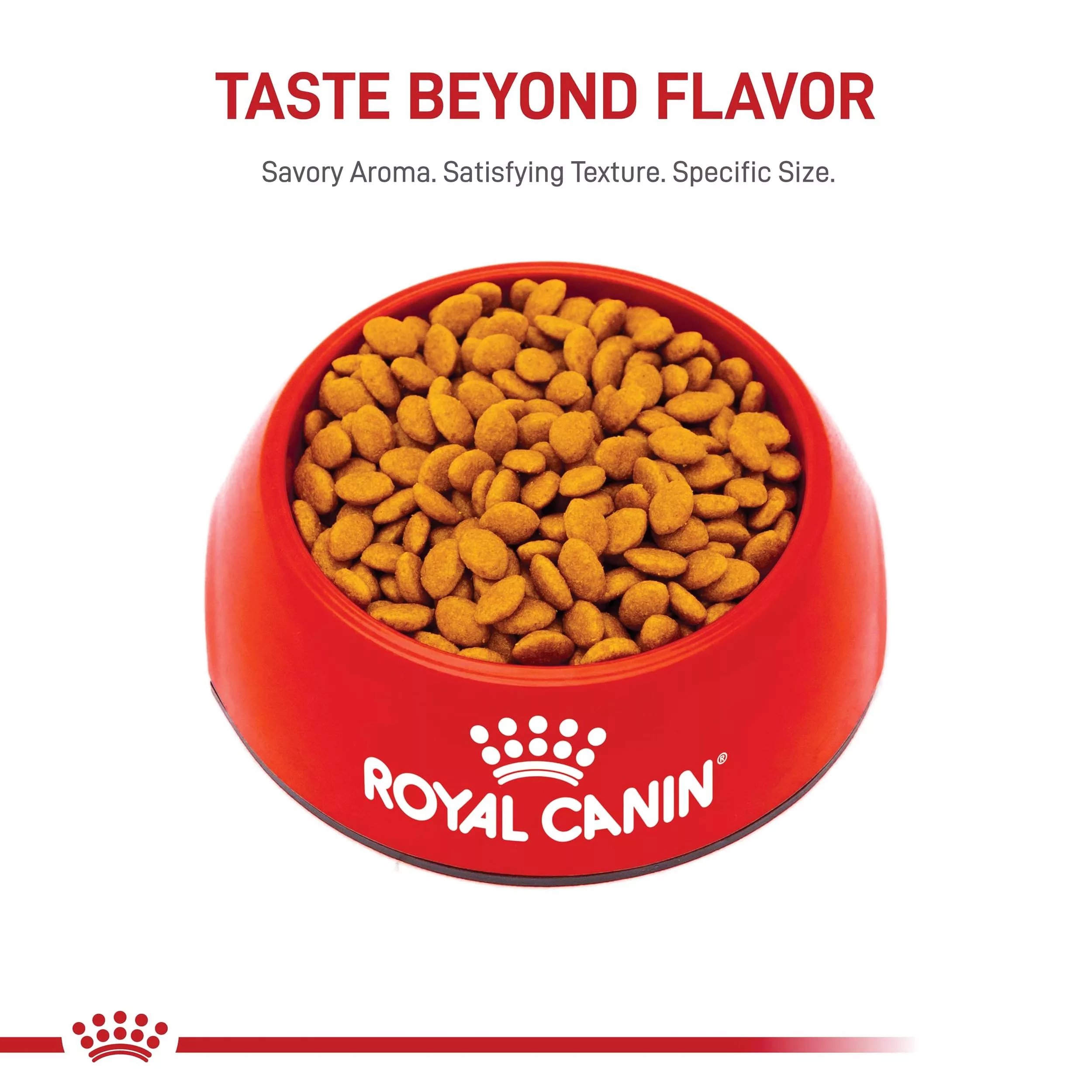 غذا خشک گربه رویال کنین مدل persian adult وزن 2 کیلوگرم