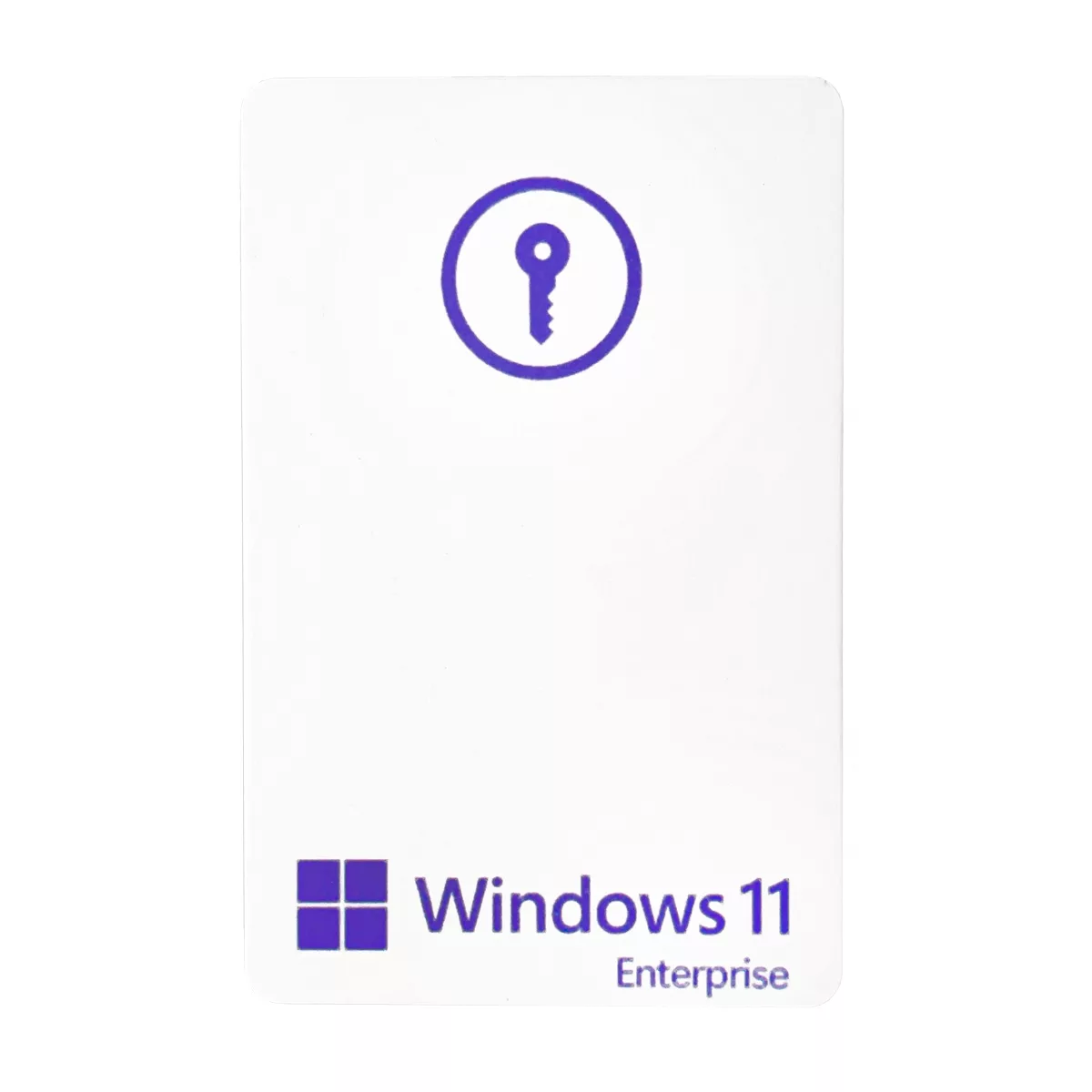 سیستم عامل ویندوز 11 اینترپرایز نسخه فلش لایسنس استاندارد نشر پیسیباز