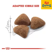 غذا خشک گربه بالغ رویال کنین مدل indoor وزن 2 کیلوگرم