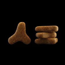 غذای خشک گربه جوسرا مدل کولینس ادالت پریمیوم وزن 2 کیلوگرم