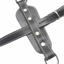 قلاده کمری سگ رومیتو طرح چرمی مدل گلادیاتور 2