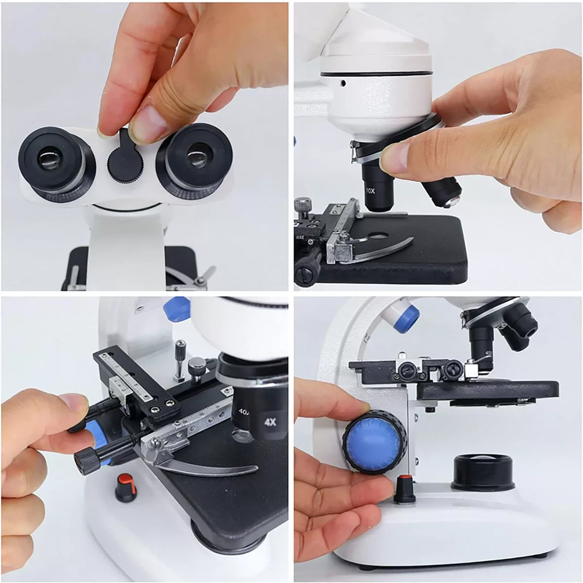 میکروسکوپ مدل دوچشمی 1000x New 2025 به همراه کیف حمل